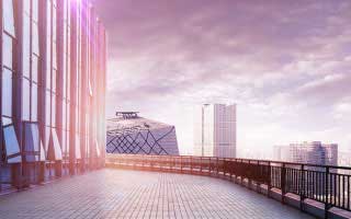 流浪狗攻略：痛点剖析与解决之道